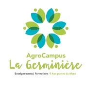 GRETA CFA